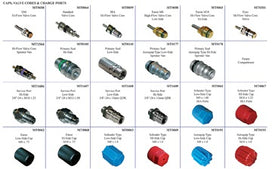 Master Technician Series Box 3 or MT9260 Kit - Primary Caps and Valve Cores